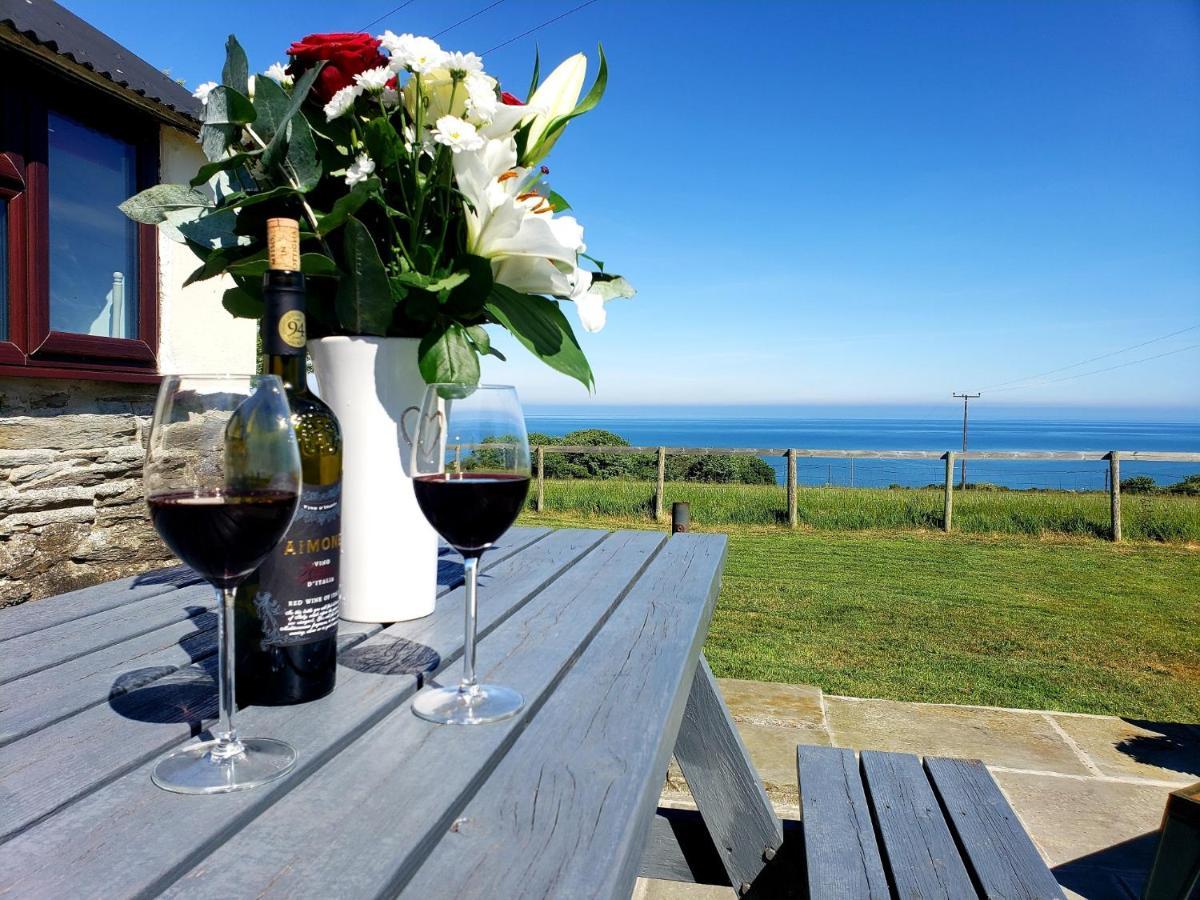 Byre Cottages&Lakeside caravan Cardigan Extérieur photo