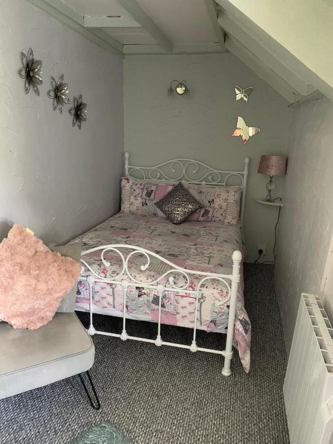 Byre Cottages&Lakeside caravan Cardigan Extérieur photo