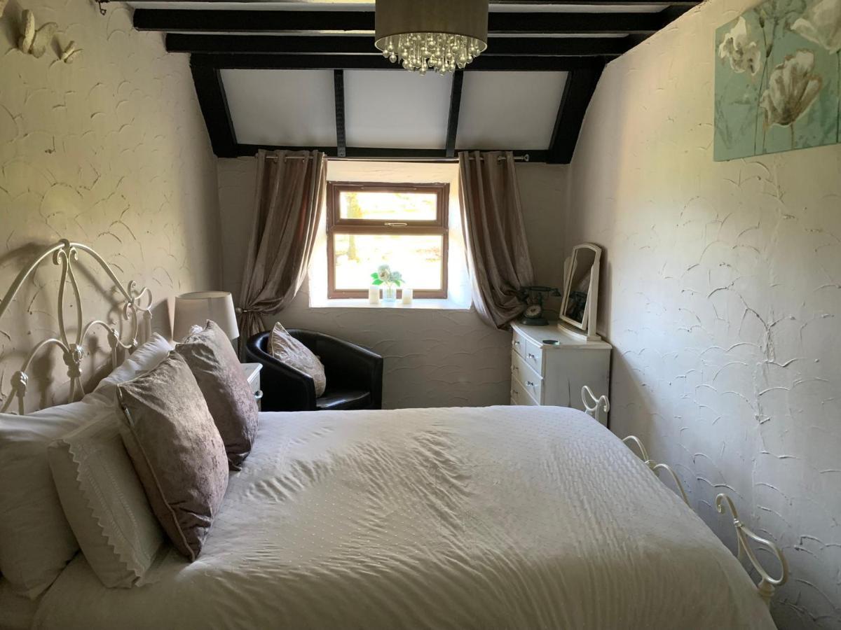 Byre Cottages&Lakeside caravan Cardigan Extérieur photo